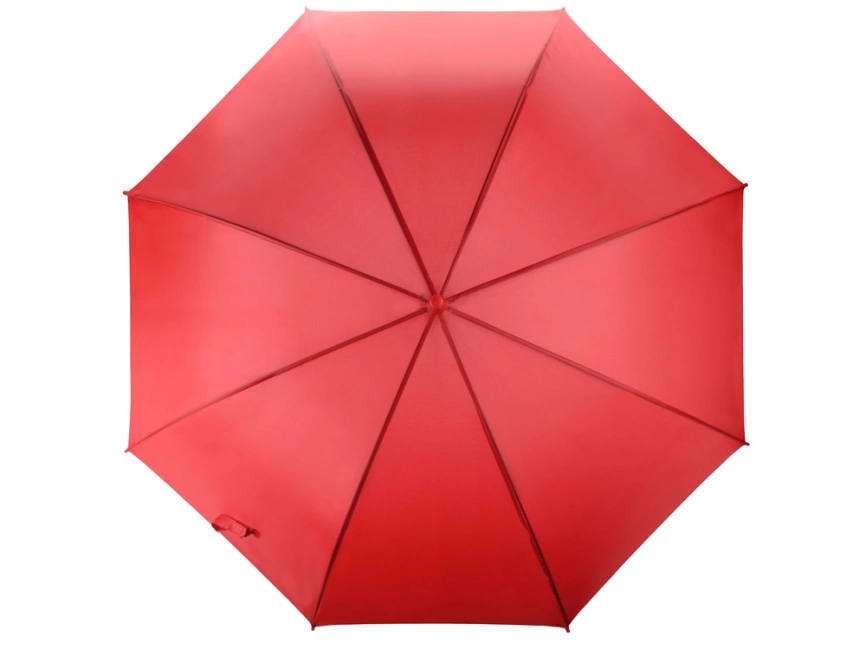 Зонт-трость полуавтоматический с пластиковой ручкой фото 4