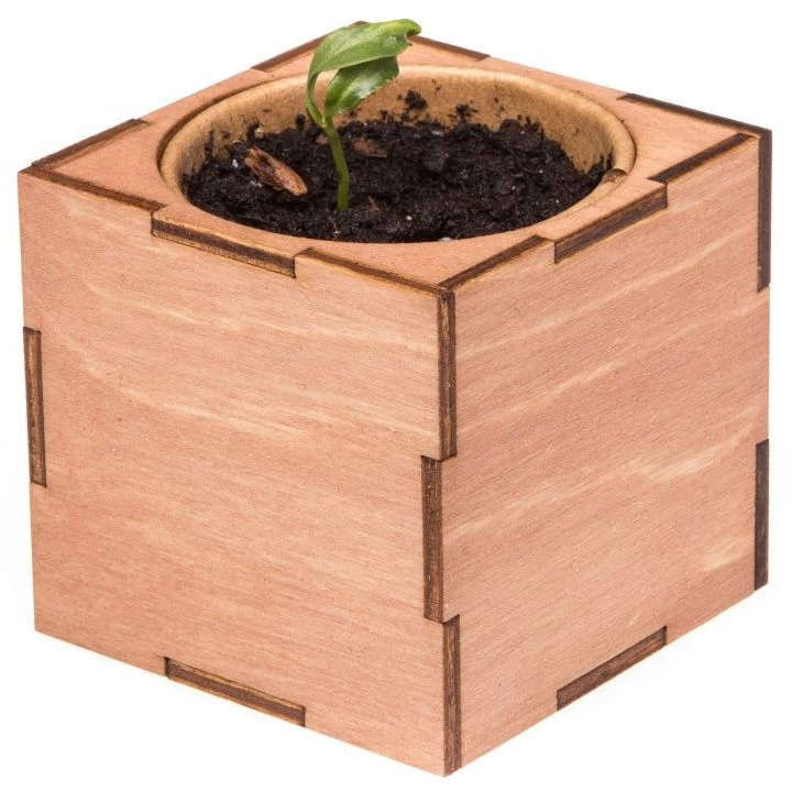 Набор для выращивания «Экокуб Lite», сирень фото 6