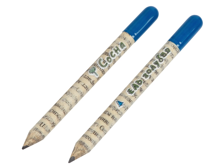 Набор растущих карандашей mini, 2 шт с семенами голубой ели и сосны фото 1