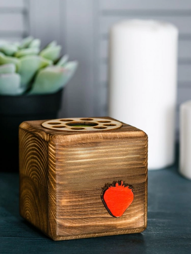 Набор для выращивания с органайзером «Экокуб Burn», земляника фото 3