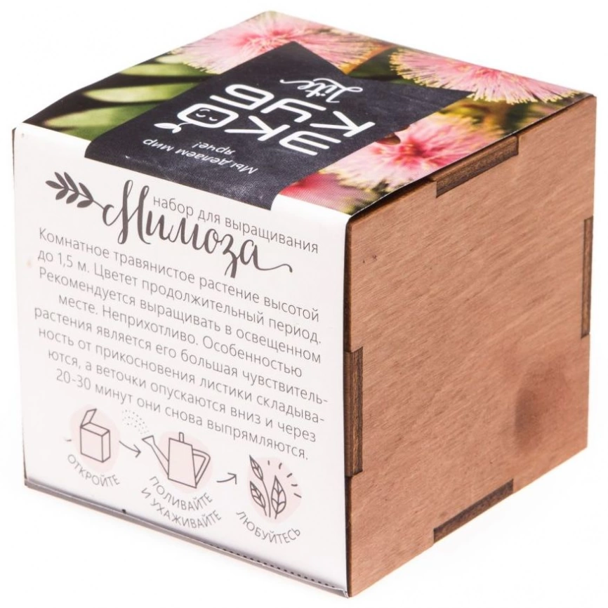 Набор для выращивания «Экокуб Lite», мимоза фото 3