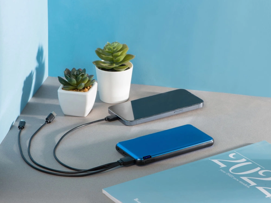 Внешний аккумулятор Forge, Evolt, металл, 10000mah, синий фото 10