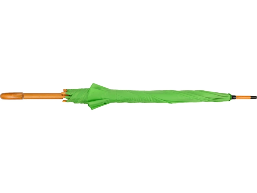 Зонт-трость Радуга, зеленое яблоко фото 7
