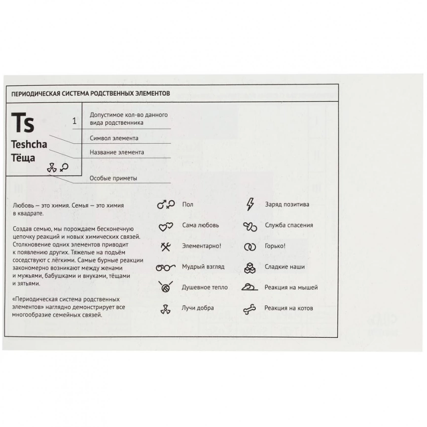 Футболка женская «Сестрий», темно-синяя, размер L фото 5