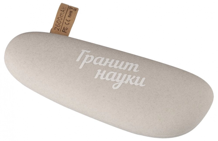 Внешний аккумулятор Pebble 2600 мАч, светло-серый фото 11