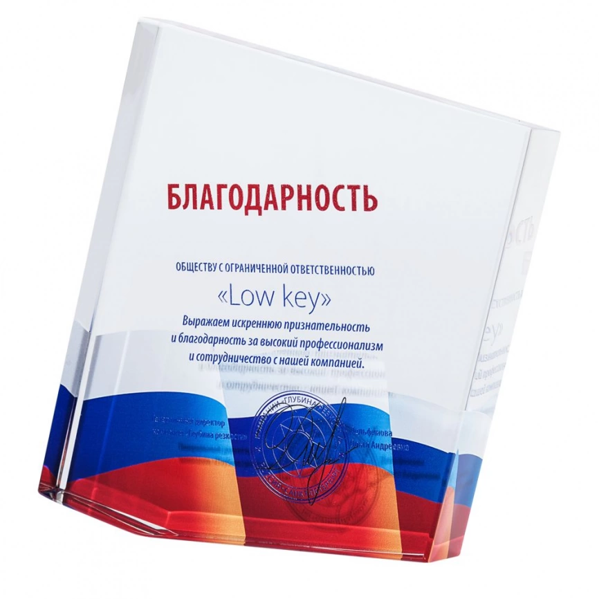 Награда «Точка опоры» фото 1