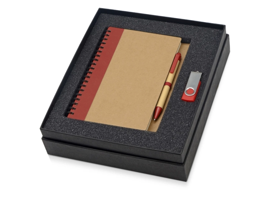 Подарочный набор Essentials с флешкой и блокнотом А5 с ручкой, красный фото 1