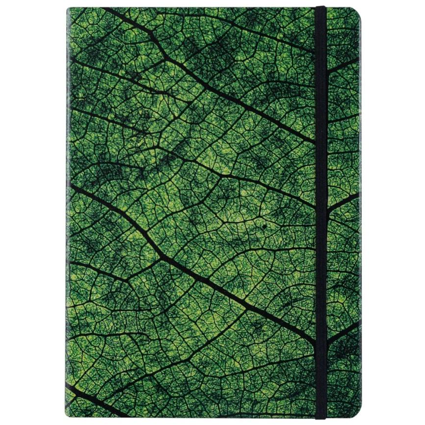 Ежедневник Evergreen, недатированный фото 3