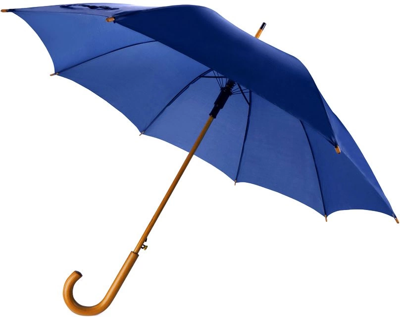 Зонт-трость Arwood - Синий HH фото 1