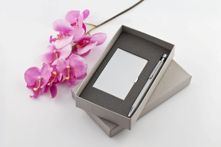 Набор Join: футляр для визиток и шариковая ручка, серебристый фото 2