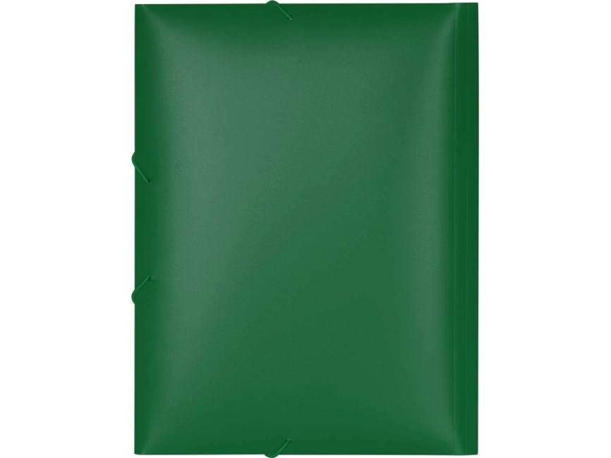Папка формата А4 на резинке, зеленый фото 4