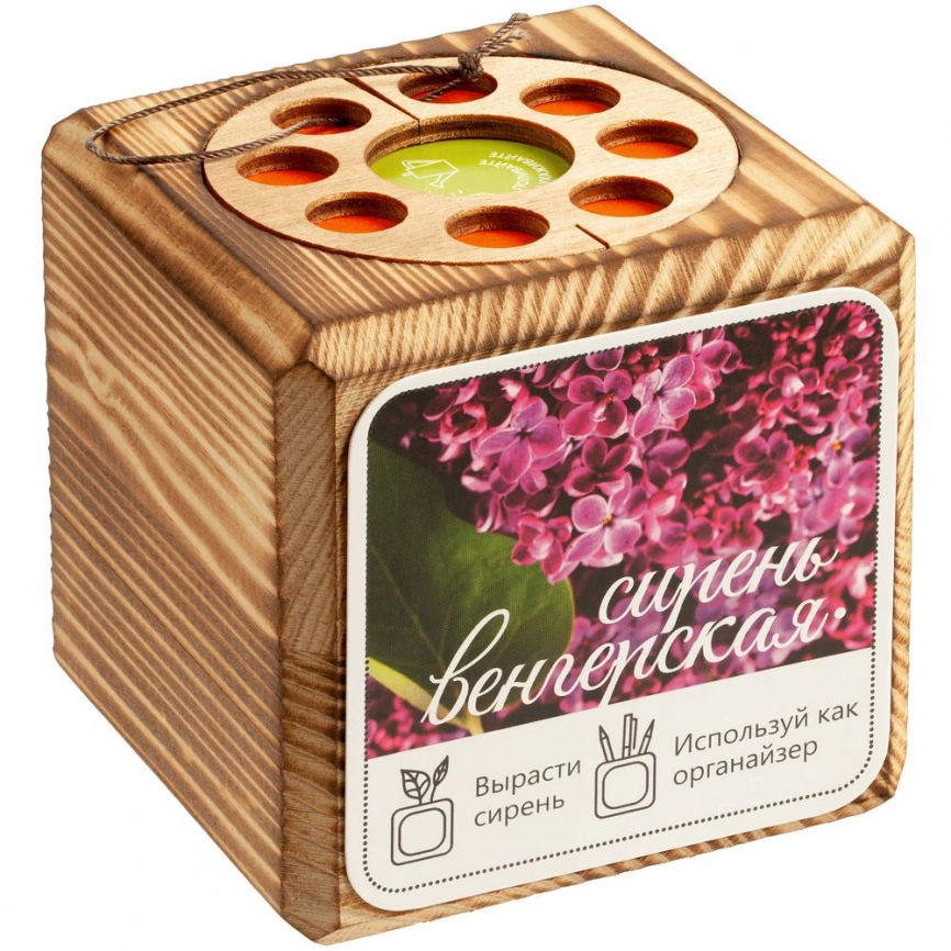 Набор для выращивания с органайзером «Экокуб Burn», сирень фото 10