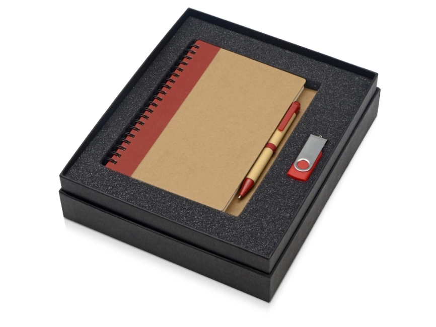 Подарочный набор Essentials с флешкой и блокнотом А5 с ручкой, красный фото 2