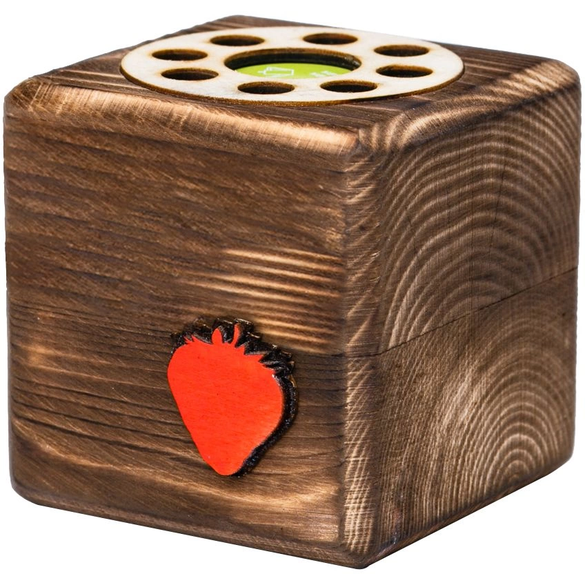 Набор для выращивания с органайзером «Экокуб Burn», земляника фото 2