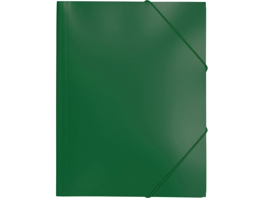 Папка формата А4 на резинке, зеленый фото 2