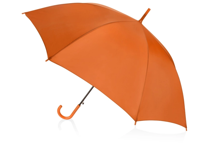 Зонт-трость Яркость, оранжевый фото 2