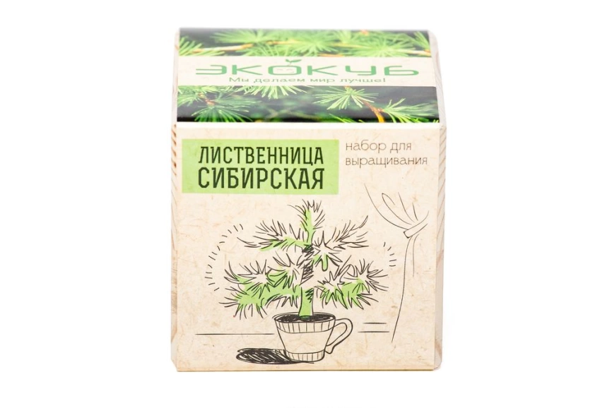 Набор для выращивания «Экокуб», лиственница сибирская фото 2