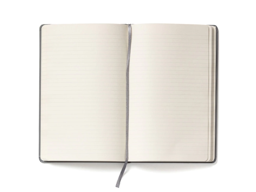 Записная книжка Moleskine Classic (в линейку) в твердой обложке, Large (13х21см), серый фото 2