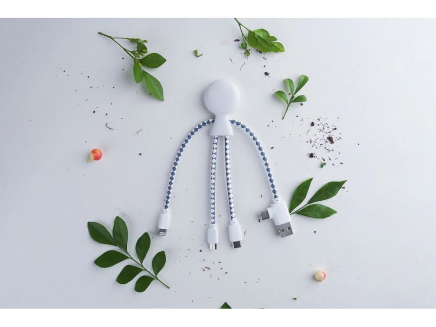 Зарядный кабель Mr. Bio в картонной упаковке фото 12