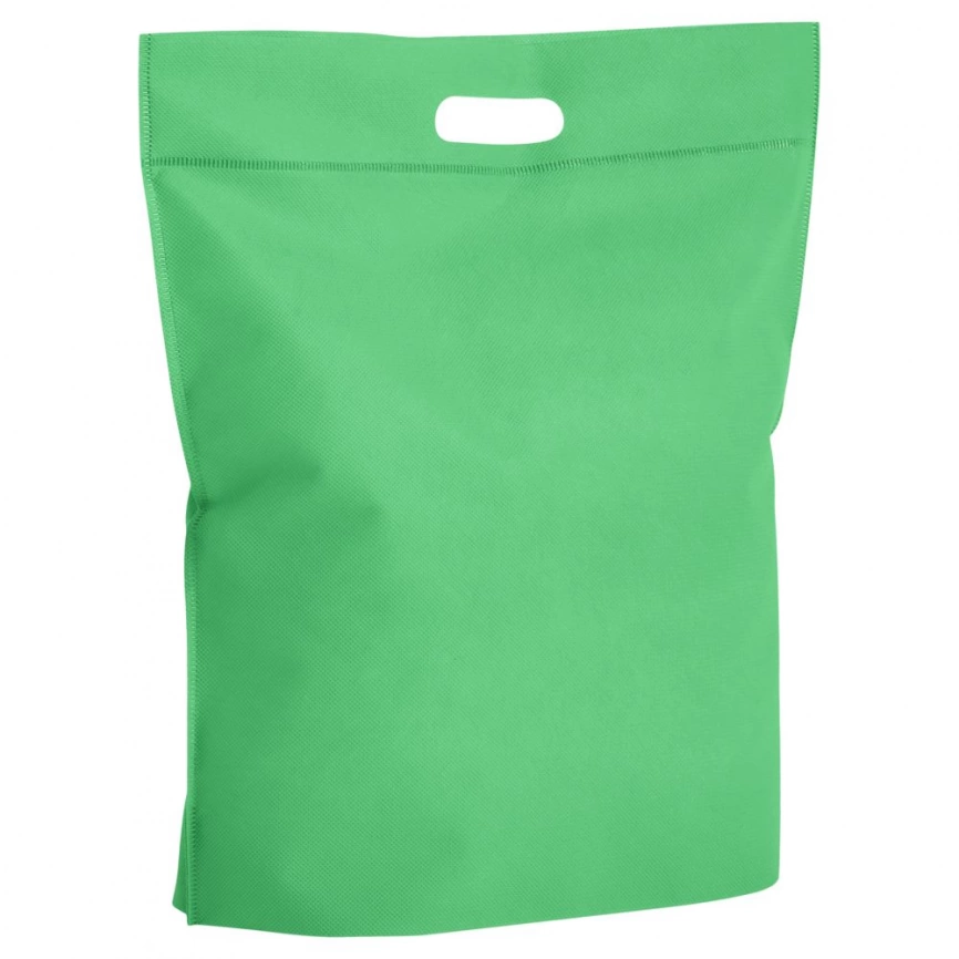 Сумка Carryall, большая, зеленая фото 1