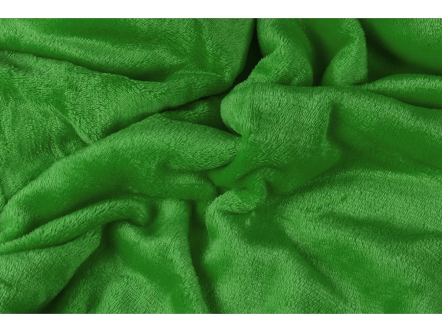 Плед мягкий флисовый Fancy, зеленый фото 2