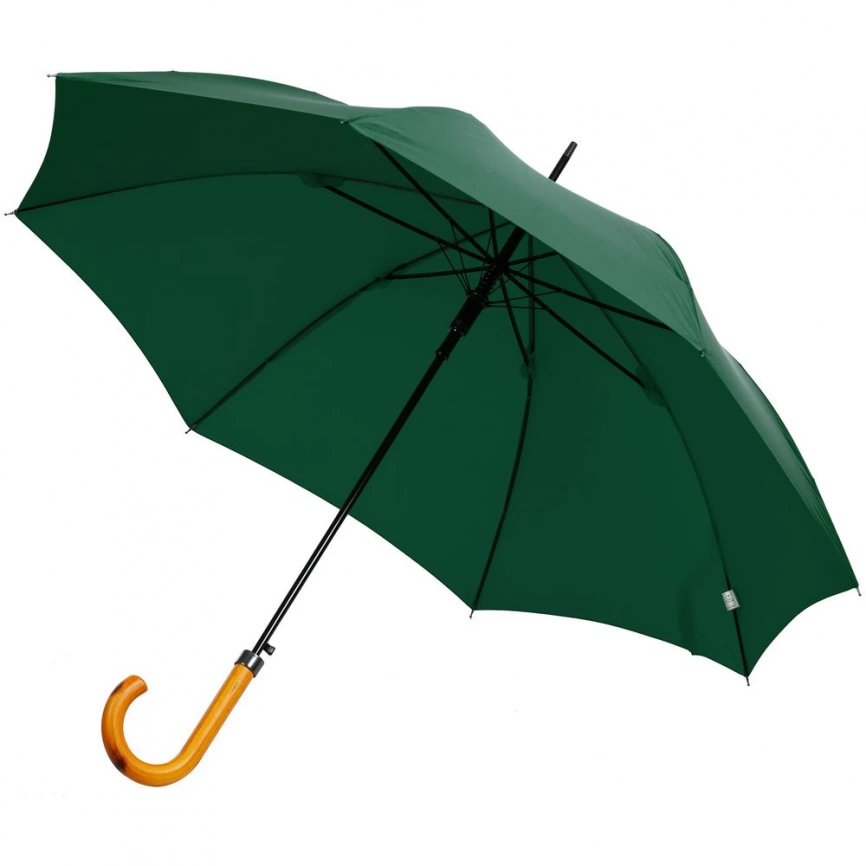 Зонт-трость LockWood ver.2, зеленый фото 1
