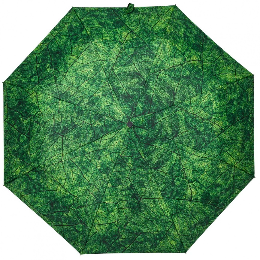 Зонт складной Evergreen фото 1