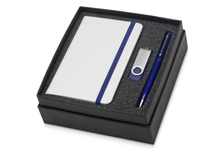 Подарочный набор Reporter Plus с флешкой, ручкой и блокнотом А6, синий фото 1
