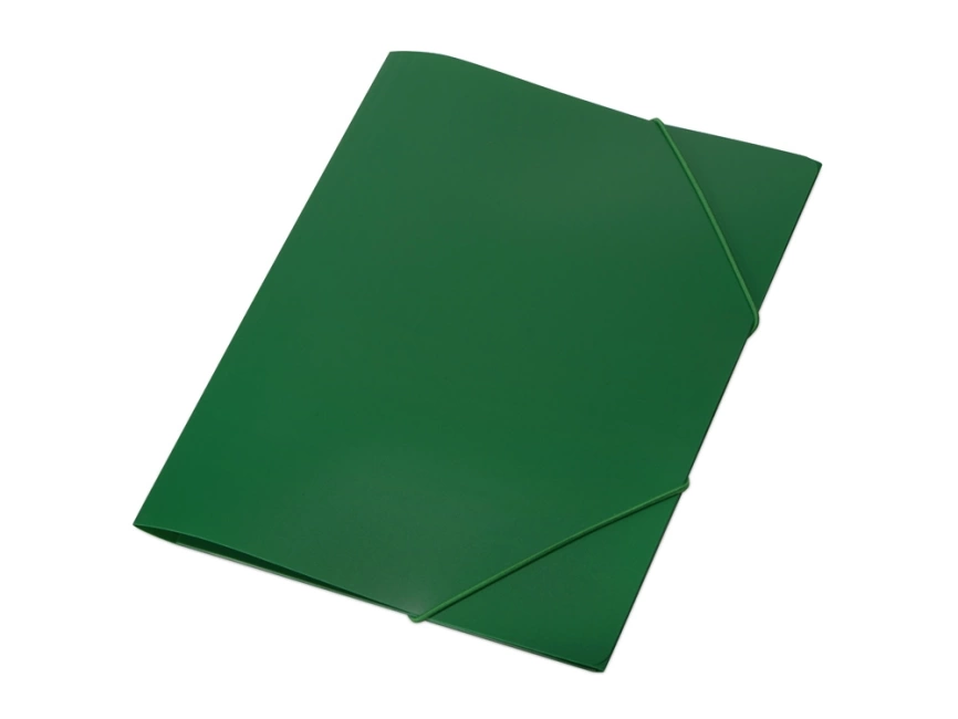 Папка формата А4 на резинке, зеленый фото 1