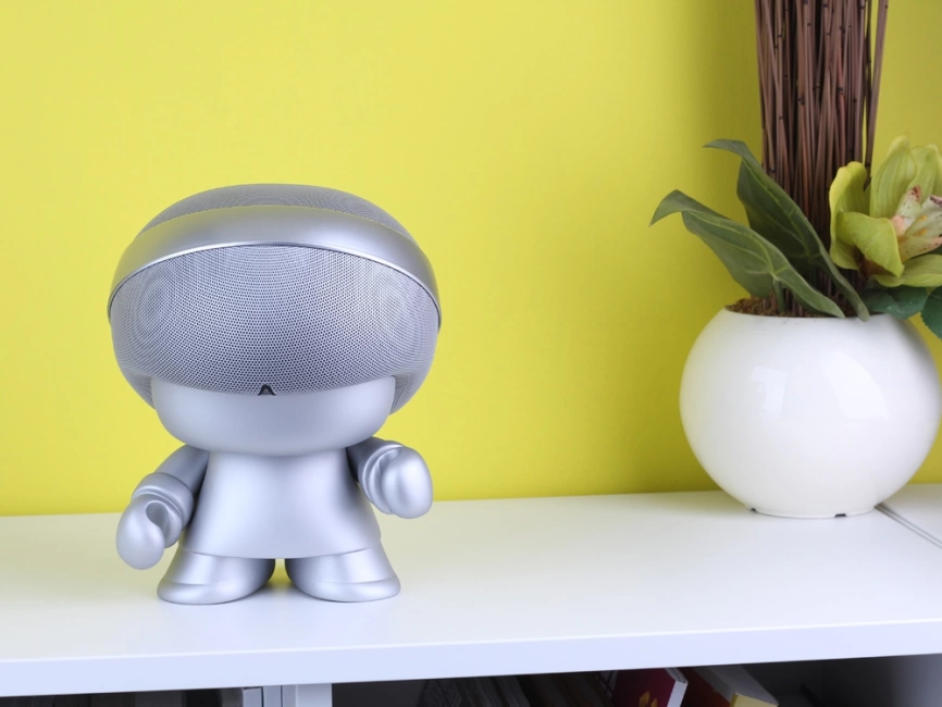 Портативная колонка XOOPAR Grand XBOY, серебристый фото 6