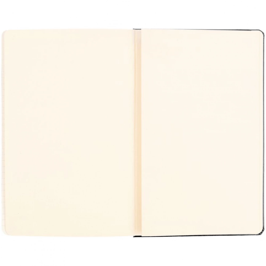 Записная книжка Moleskine Classic Large, в клетку, черная фото 8