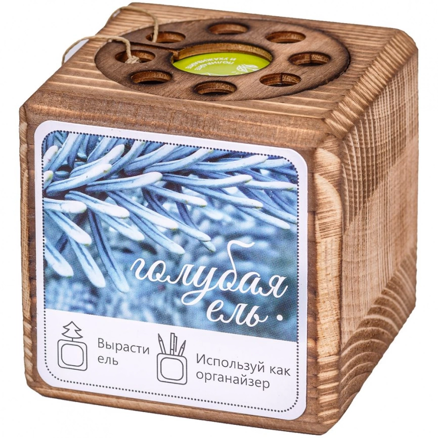 Набор для выращивания с органайзером «Экокуб Burn», ель голубая фото 7