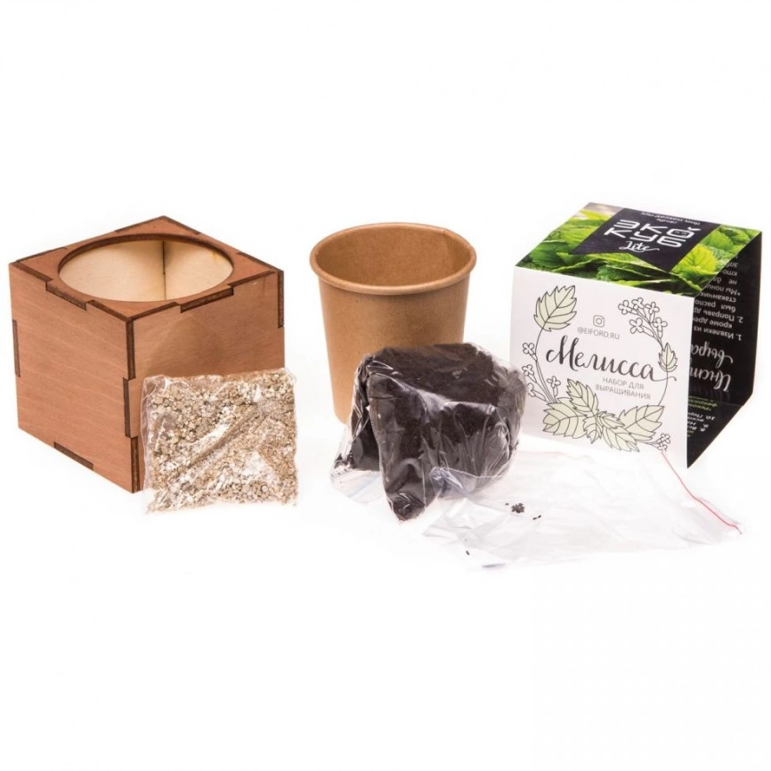 Набор для выращивания «Экокуб Lite», мелисса фото 5