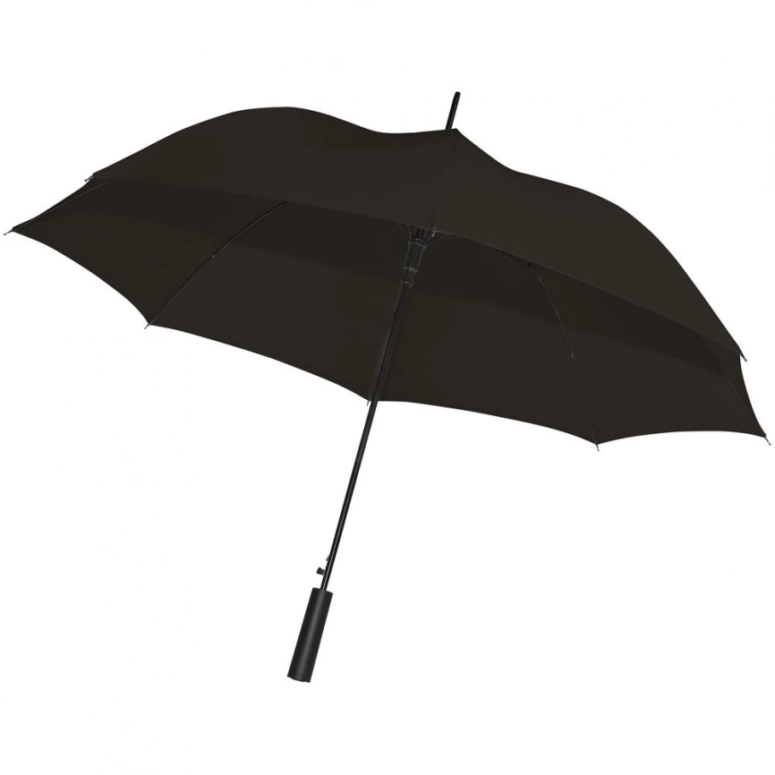 Зонт-трость Dublin, черный фото 1