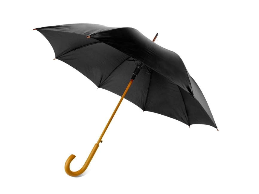 Зонт-трость Радуга, черный фото 1