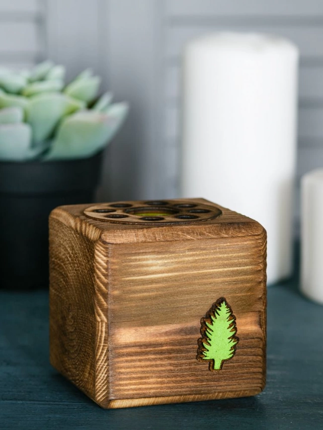 Набор для выращивания с органайзером «Экокуб Burn», лиственница фото 3