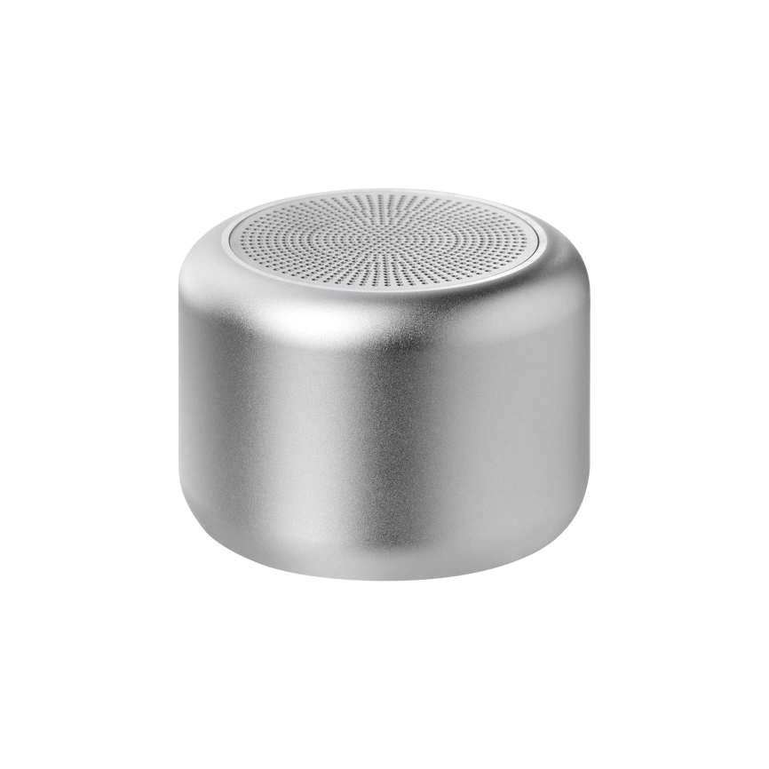 Беспроводная колонка Passion 80dB 600 mAh, серебряная фото 1