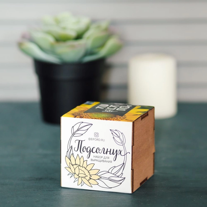 Набор для выращивания «Экокуб Lite», подсолнух фото 2