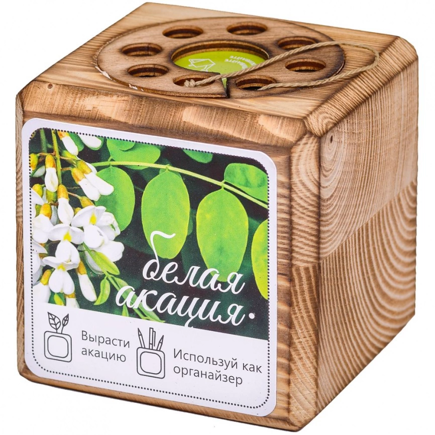 Набор для выращивания с органайзером «Экокуб Burn», акация фото 8