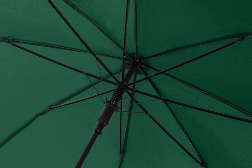 Зонт-трость Glasgow, зеленый фото 2