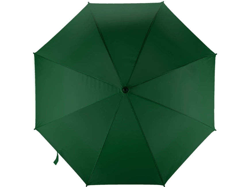 Зонт-трость Радуга, зеленый фото 8