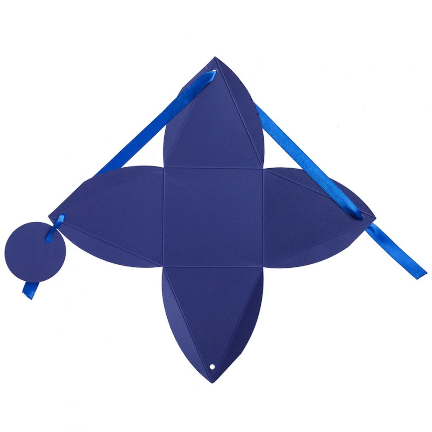 Упаковка Cleo, синяя фото 2