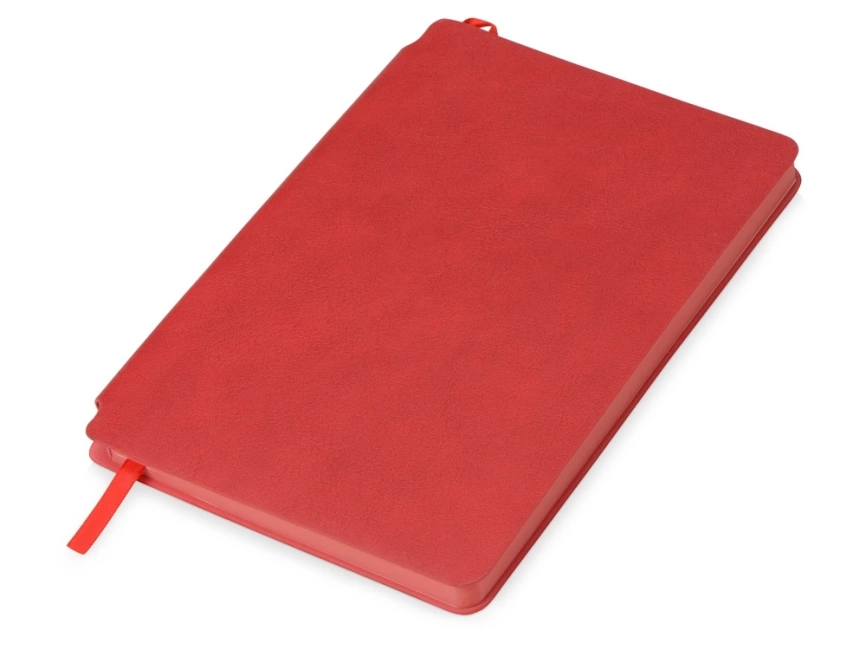 Подарочный набор Notepeno, красный фото 5