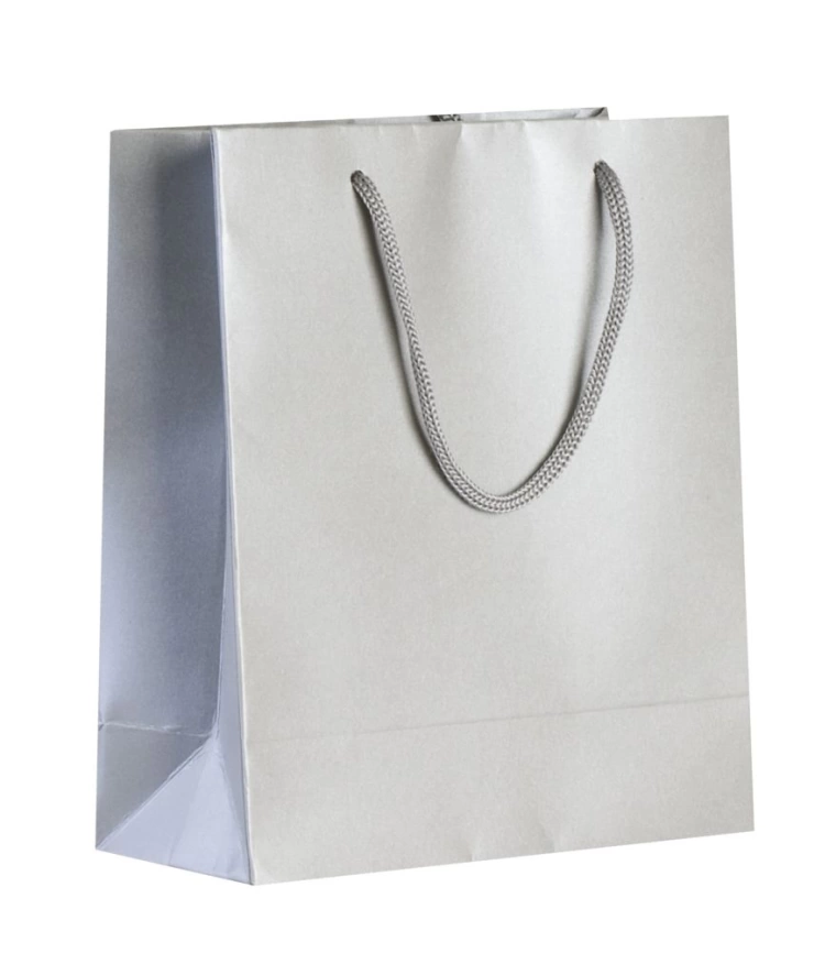 Пакет бумажный «Блеск», малый, серебристый фото 1