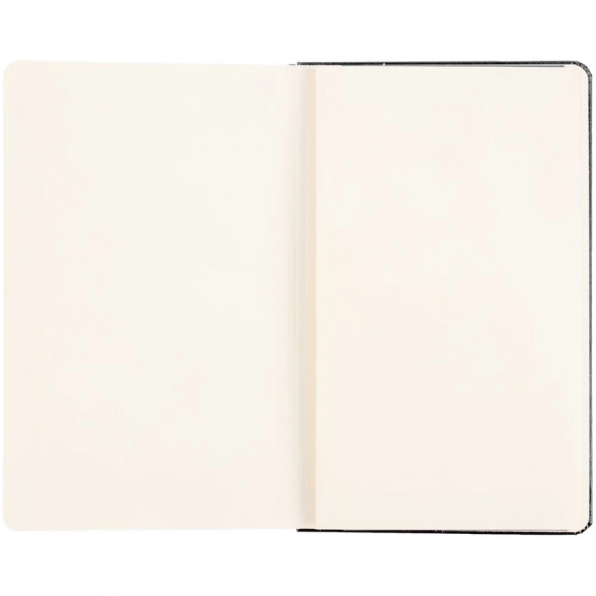 Записная книжка Moleskine Professional Large, черная фото 9