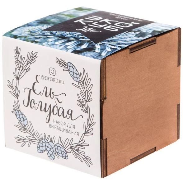 Набор для выращивания «Экокуб Lite», ель голубая фото 1