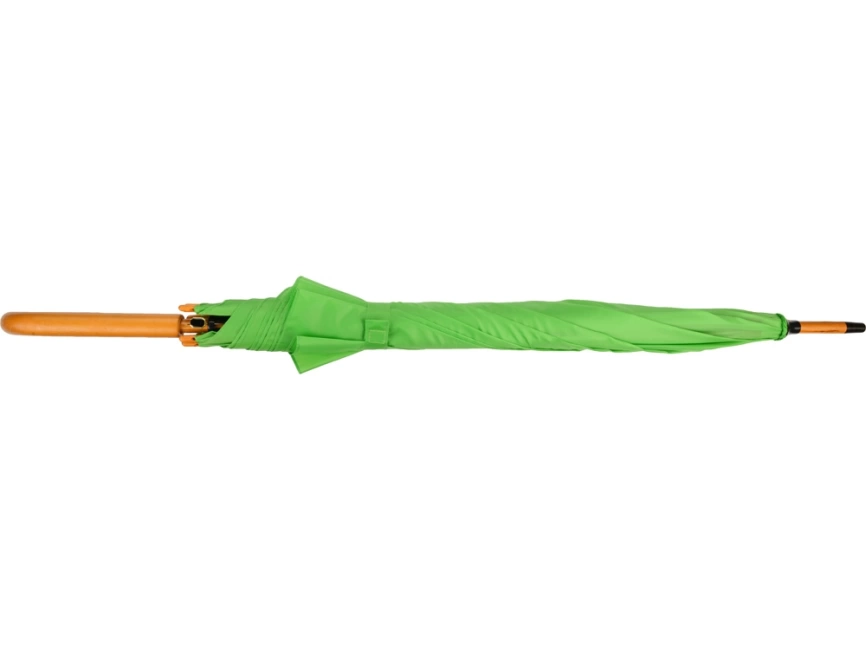 Зонт-трость Радуга, зеленое яблоко фото 5