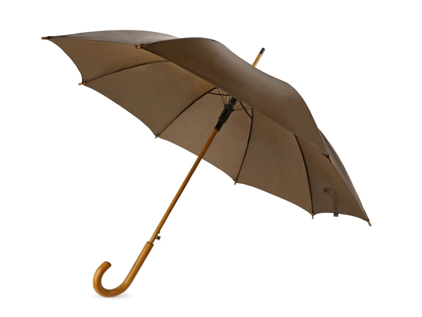 Зонт-трость Радуга, коричневый фото 1