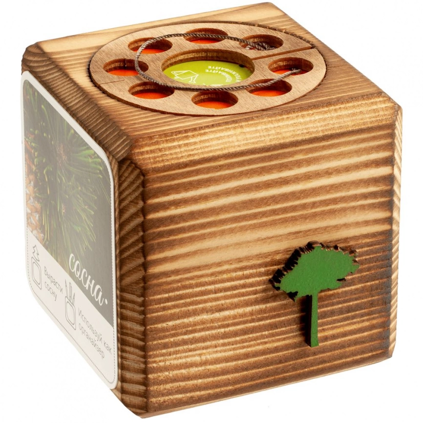 Набор для выращивания с органайзером «Экокуб Burn», сосна фото 11