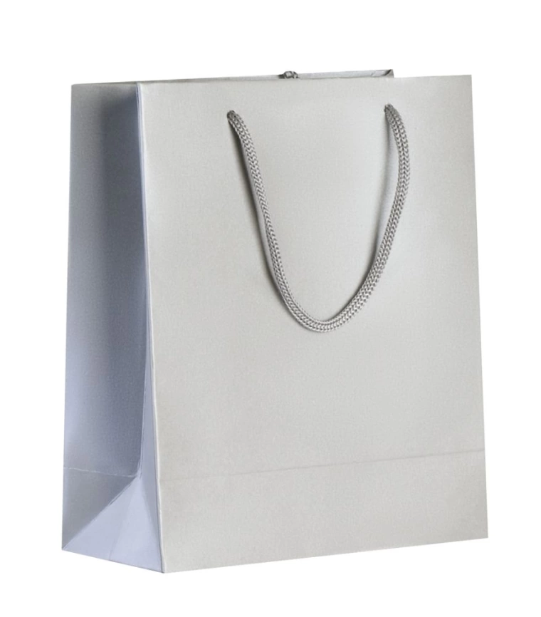 Пакет бумажный «Блеск», малый, серебристый фото 3